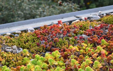 the cost of Uplawmoor green roof installation