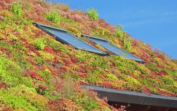 Uplawmoor living roof systems