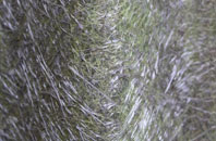 Uplawmoor fibreglass roof work